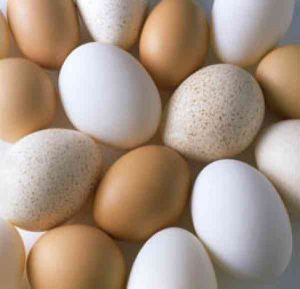 تاثیرکلسیم و ویتامین D3 بر پوسته تخم مرغ